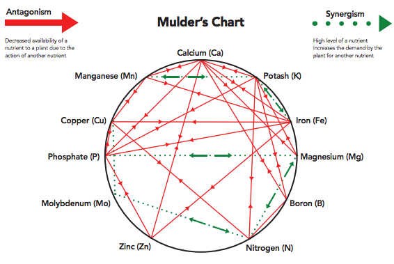 Mulders Chart